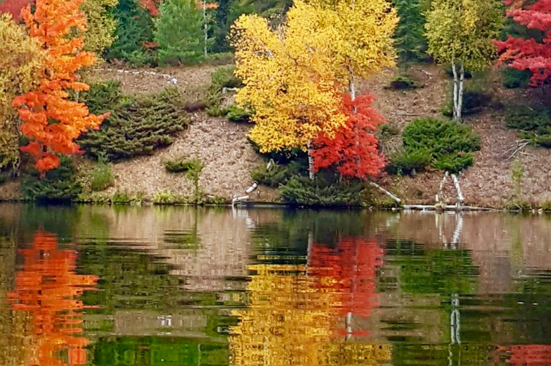 AuSable River Water Trail (Cooke Dam Pond)